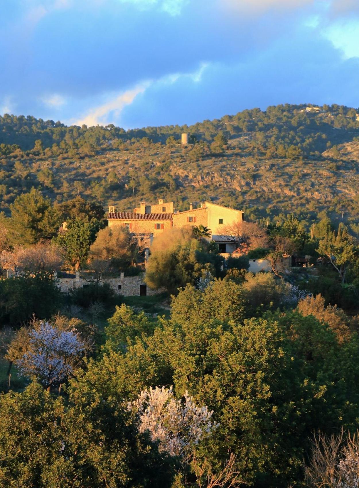 Son Malero Guest House Calvia  Luaran gambar